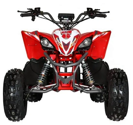 Электроквадроцикл MOTAX E-PENTORA 1500W