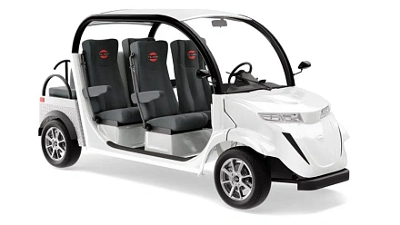 Гольфкар Elecar 5E-TIGARBO 4+2
