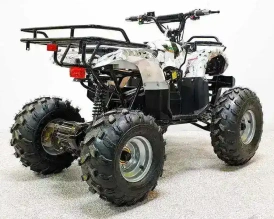 Электроквадроцикл Green Camel Атакама T220 (48V 1000W R8 Дифференциал)