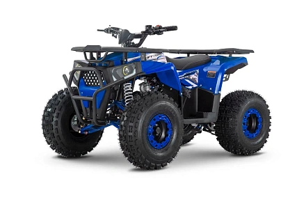 Квадроцикл WELS THUNDER Trail 125