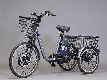 Трехколесный электровелосипед E-motions KANGOO-RU 700