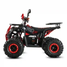 Электроквадроцикл WHITE SIBERIA SNEG 3000 F