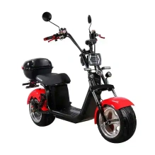 Электроскутер SKYBOARD CITYCOCO BR30-2WD PRO FAST