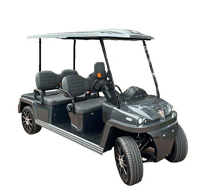 ГОЛЬФКАР КОНКОРДИЯ URBIS 4