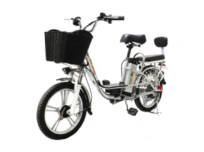 Электровелосипед Green Camel Транк-18 V2 (R18 250W)