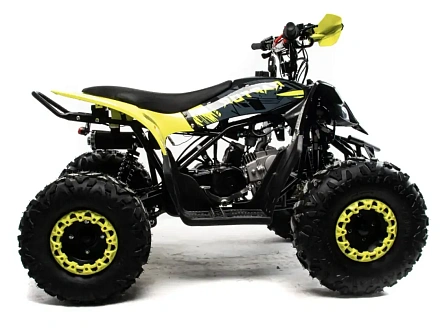 Квадроцикл Motoland 125 RAPTOR A