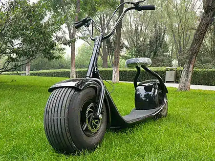 Электросамокат El-sport Classic Citycoco 1000W 60V, 12Ah