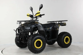 Квадроцикл MOTAX GRIZLIK PREMIUM 2024