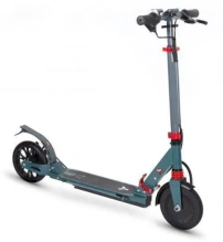 Электросамокат Accesstyle Frost 20S