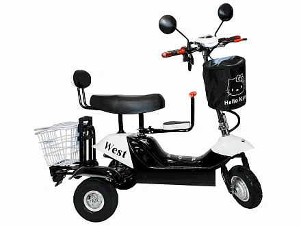 Электросамокат EL-Sport SF8 Maxi 500W