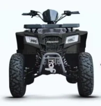 Квадроцикл Progasi RaceJumper MaxPower 200 