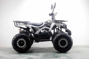 Квадроцикл MOTAX ATV Grizlik Premium 125cc