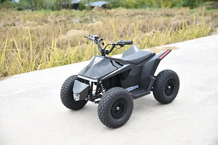 Электроквадроцикл Skyboard CyberTruck Sochi Kids