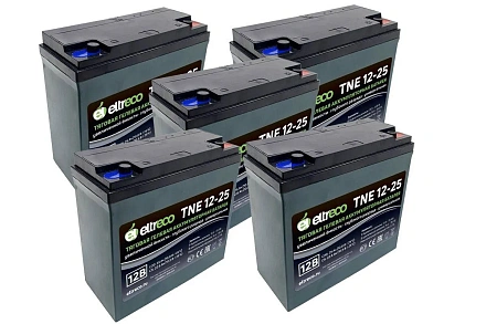 Комплект тяговых аккумуляторов Eltreco TNE12-25 (60V21A/H C3)
