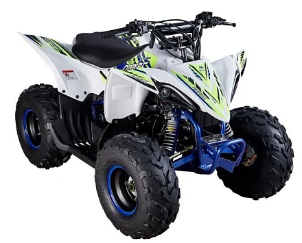 Квадроцикл Mikilon Rapide 110 (без АКБ)