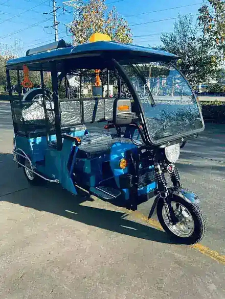 Электротрицикл Green Camel Пони Рикша