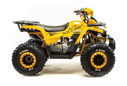 Квадроцикл Motoland (п) 125 WILD X