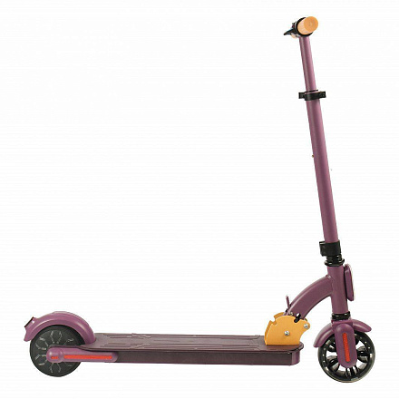 Электросамокат Accesstyle Panda 13S