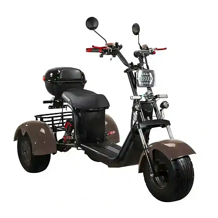 Электроскутер SKYBOARD CITYCOCO TRIKE BR40-3000 PRO FAST OFF-ROAD