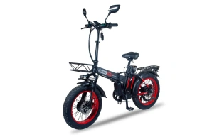 Электровелосипед Minako F10 Dual