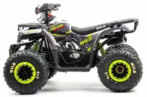 Квадроцикл Motoland 125 WILD A