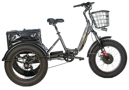 Трехколесный электровелосипед E-motions PANDA