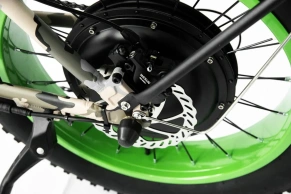 Электровелосипед Elbike Taiga 1 Twix