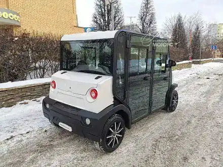 ГОЛЬФКАР Voltus LP41B С4