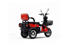 Трицикл Green Camel Фродо X7 PRO (60V 800W) дифференциал