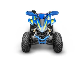 Квадроцикл YACOTA TYPHOON 250