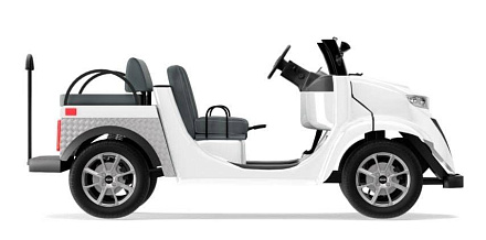 Гольфкар Elecar 5E-TIGARBO 2 Cabrio