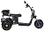 Электроскутер SKYBOARD CITYCOCO TRIKE BR40-3000 PRO FAST OFF-ROAD - превью