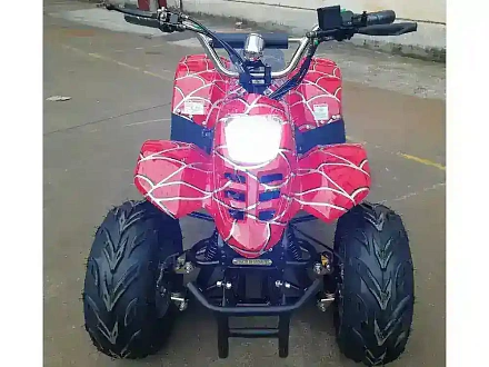 Электроквадроцикл Green Camel Гоби K50 (36V 800W R7 Цепной привод)