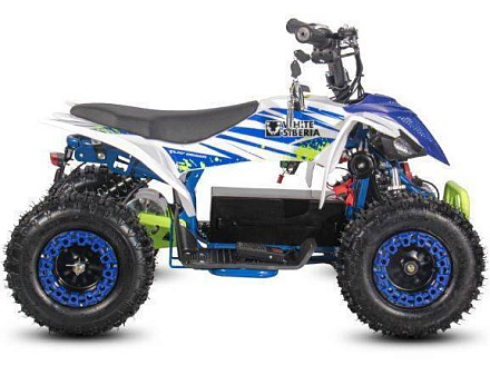 Электроквадроцикл WHITE SIBERIA SNEG LETO R