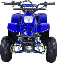 Электроквадроцикл Avantis CLASSIC 6Е (600W)