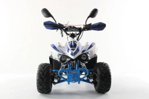 Квадроцикл MOTAX MIKRO 110 NEW