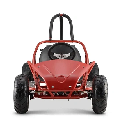 Багги Green Camel Намиб T007 (48V 1000W R6 Дифференциал)