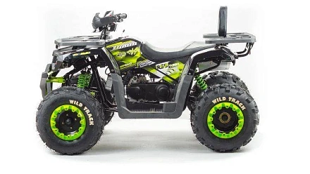 Квадроцикл Motoland 200 WILD TRACK