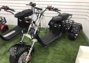 Электроскутер GT Citycoco X11 TRIKE