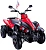 Детский электроквадроцикл Rivertoys P222PP - превью