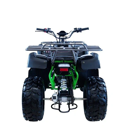 Квадроцикл MOTAX ATV Grizlik 200