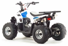 Квадроцикл Motoland 110 EAGLE (2020 г.)