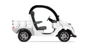 Гольфкар Elecar 5E-TIGARBO 2G