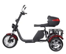 Электроскутер SKYBOARD CITYCOCO TRIKE BR80