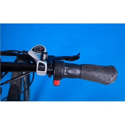 Электровелосипед Elbike Rapid