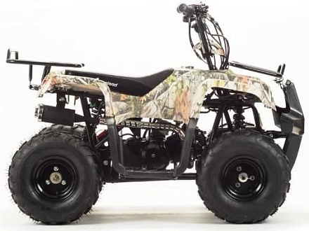 Квадроцикл Motoland 110 RIDER