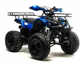 Квадроцикл Motoland 125 FOX