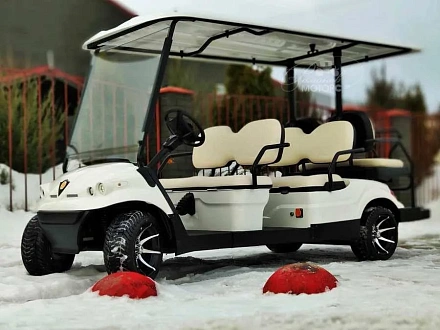 ГОЛЬФКАР КОНКОРДИЯ ГК4+2 С ПЛОЩАДКОЙ