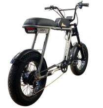 Электровелосипед Horza Reboot HR-1500
