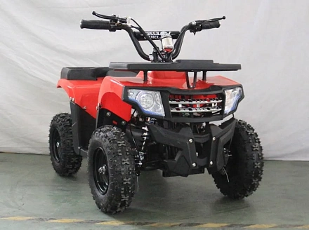 Электроквадроцикл Green Camel Гоби K24 (36V 800W R6 Цепь)